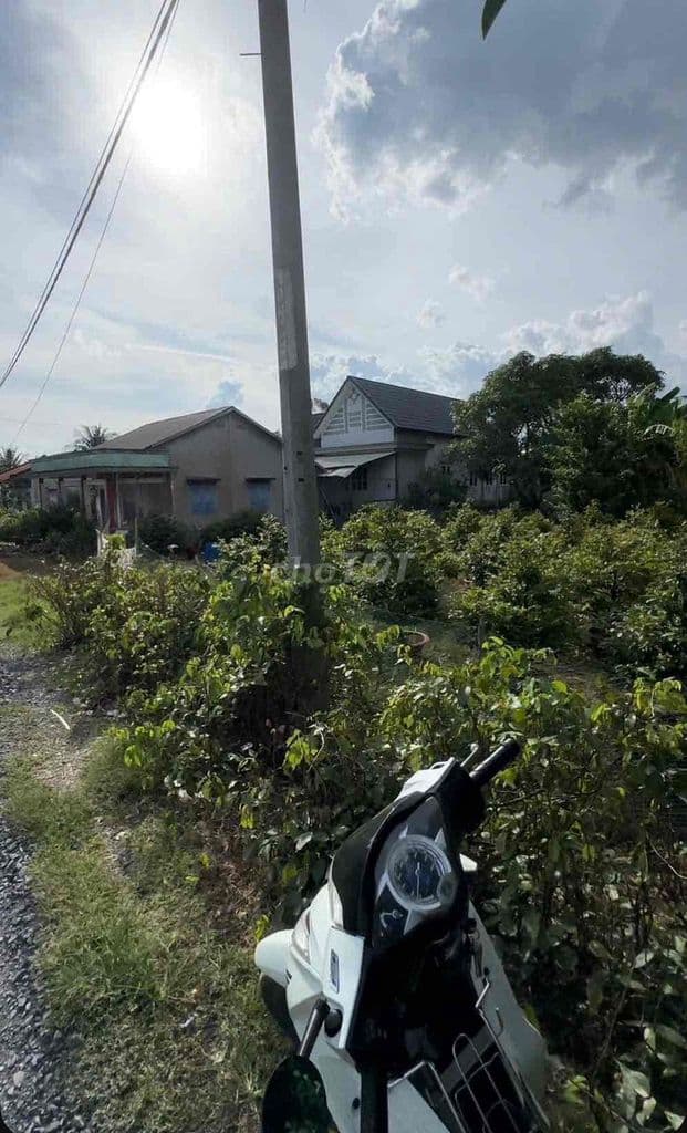 1590m2 full thổ cư sát đường Vành Đai 3 - Ảnh 3