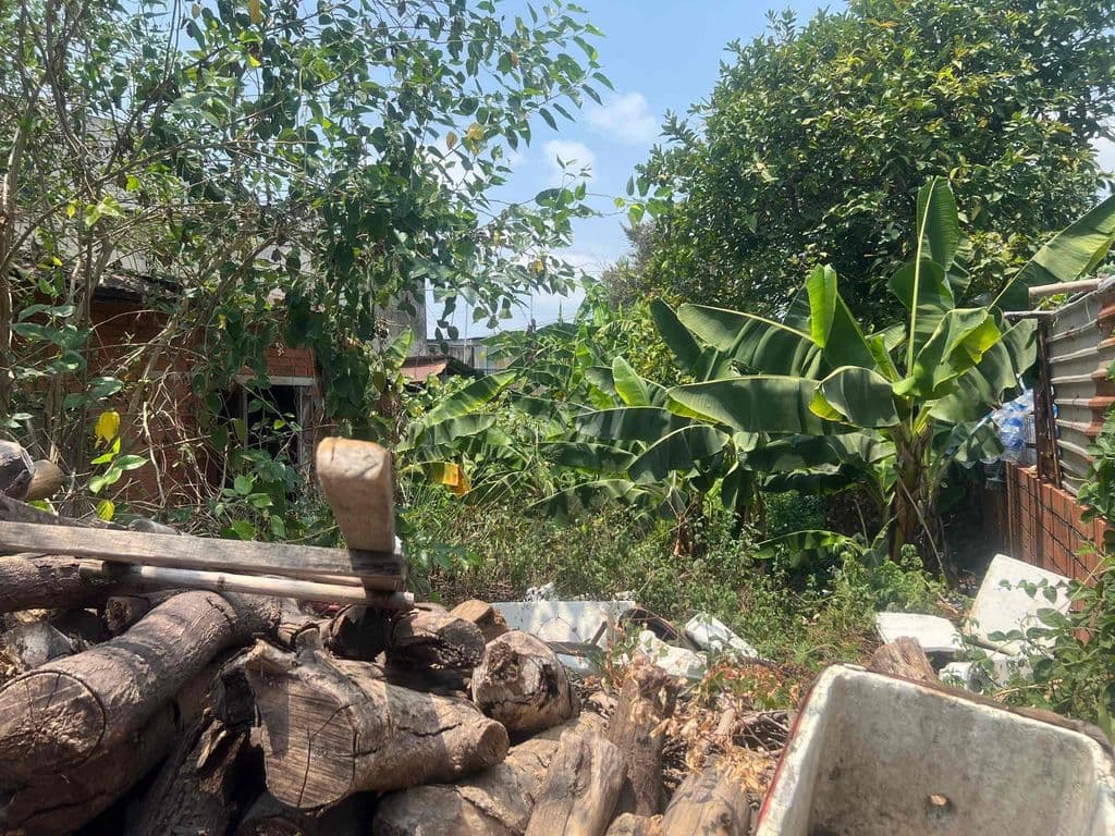 Bán lô 187m2 ngang 10m Mặt tiền đường 12E gần Nguyễn Văn Tăng Q.9 - Ảnh 3