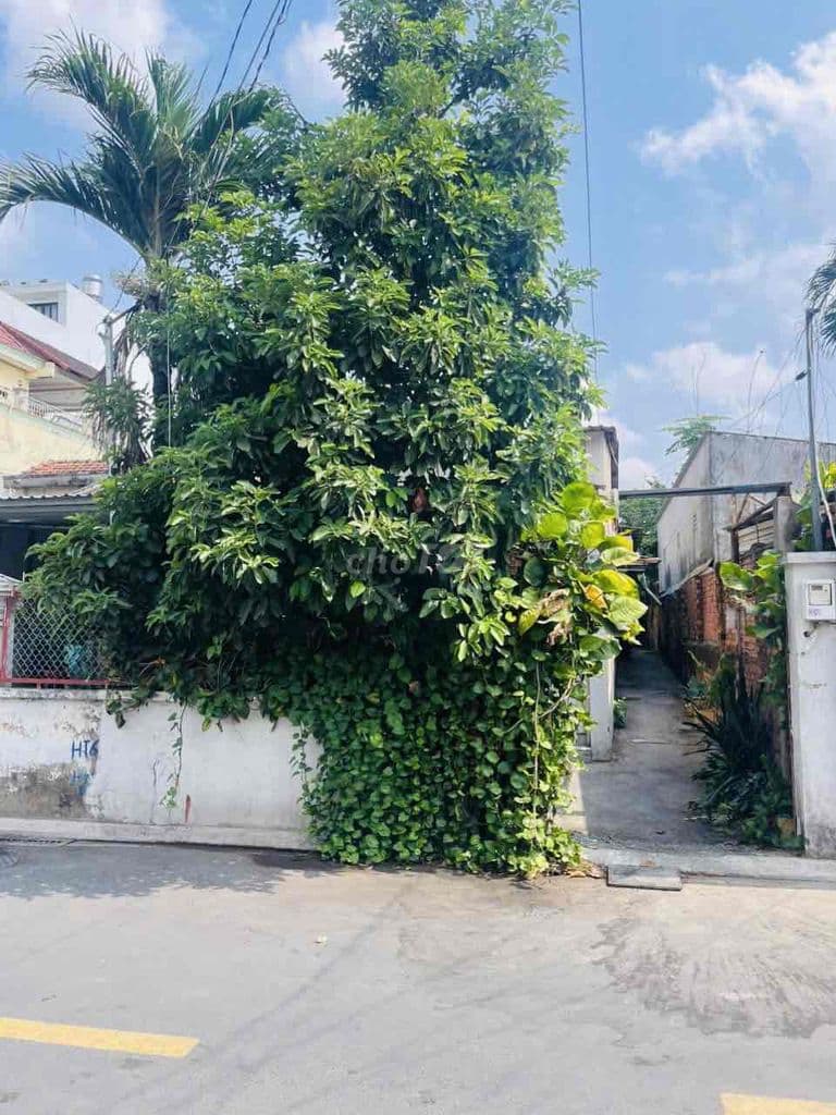 57TR/M² MT HOÀNG HỮU NAM – RẺ HƠN 30–40TR – 11 PHÒNG TRỌ – VÀO LÀ CÓ T - Ảnh 3