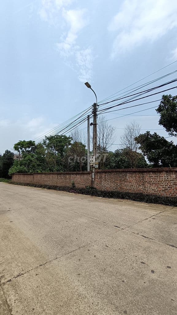 Đất mặt đường liên xã 950m2, MT13m, lô góc, chính chủ - Ảnh 3
