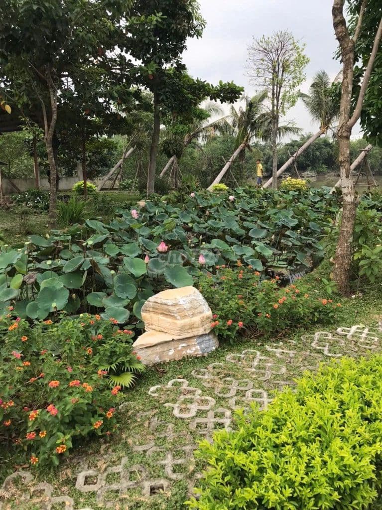 Bán nền đất 8x15m (120m) KDC đường Bờ Bao QL50 vào 30m - Ảnh 2