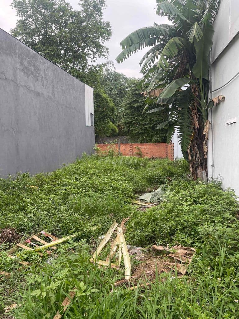Ban Đất Thổ Cư 92m2 gần nhà máy nước Tân Hiệp gần chợ gần trường cấp 1
