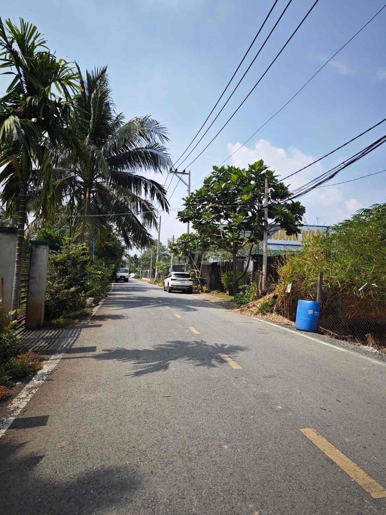 cần bán gấp lô đất mặt tiền đường 12m có 7 phòng trọ - Ảnh 2