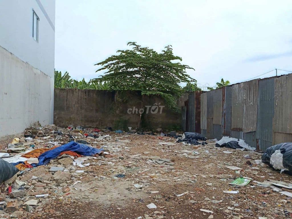 bán đất 10×17 sổ hồng riêng đường 6m - Ảnh 3