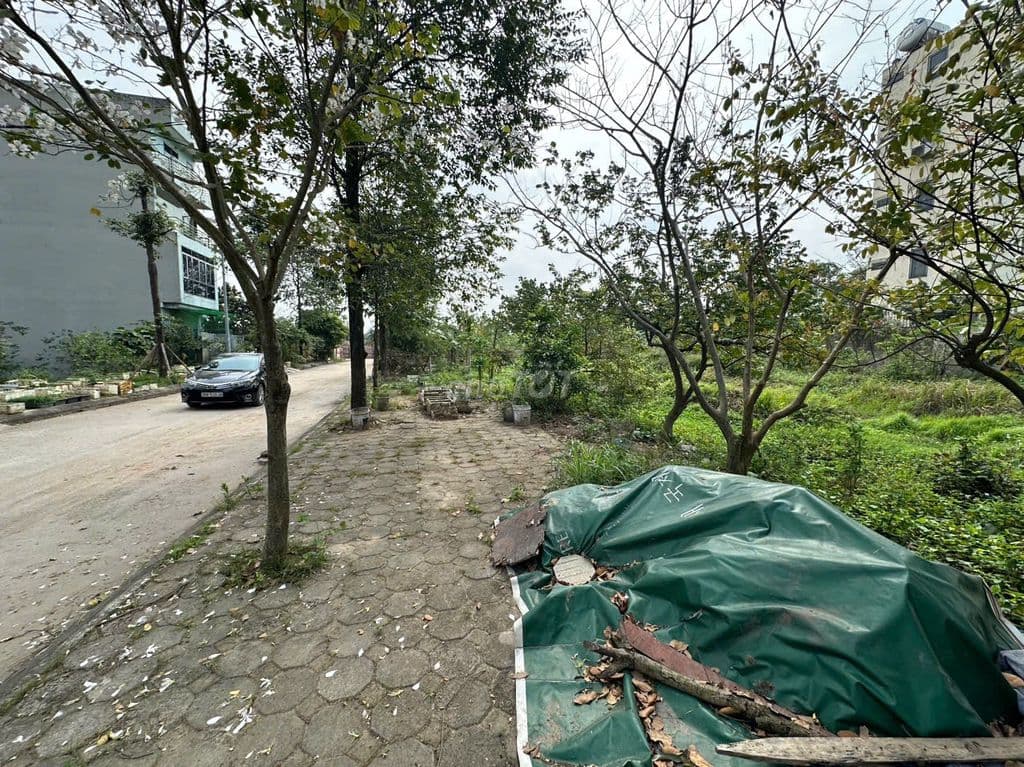 Bán Liền kề đẹp xuất sắc tại KĐT Thanh Hà Mường Thanh, giá 11,5tỷ - Ảnh 2