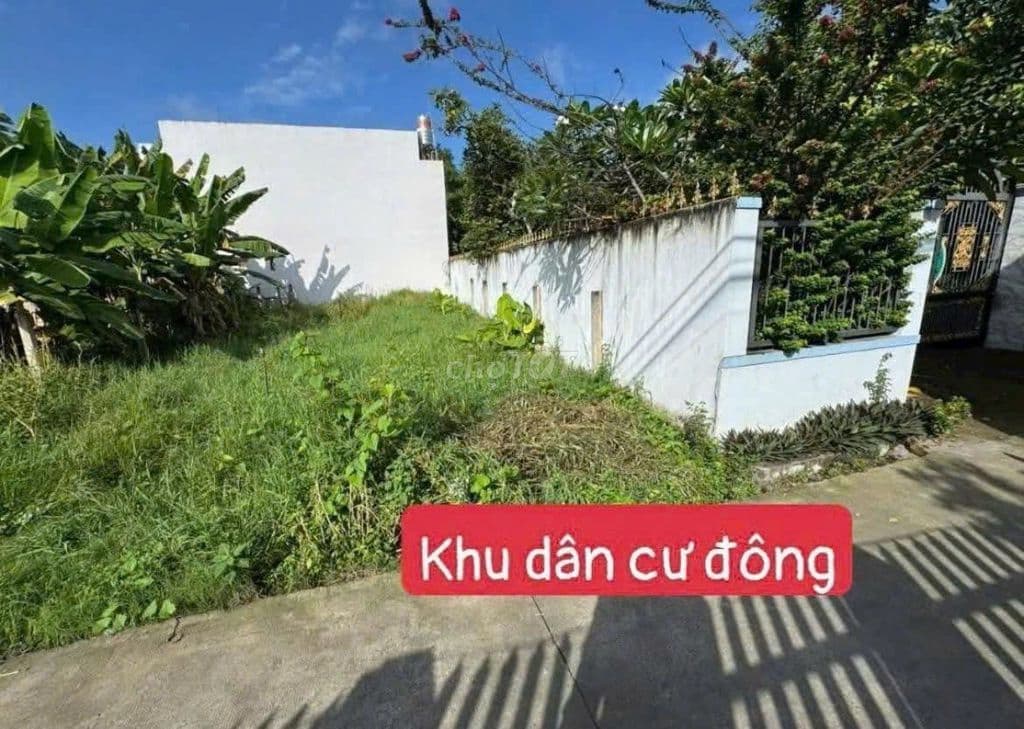 Bán lô đất Ngay QL22 Tân An Hội, 122 m2 900TR full Thổ Cư SHR - Ảnh 2