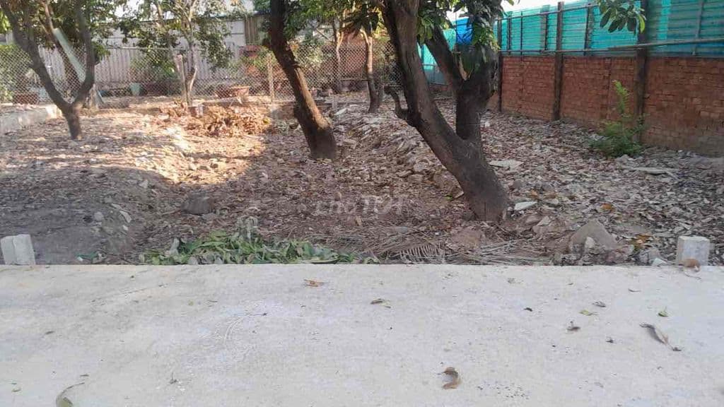 BÁN LÔ ĐẤT HEM XE HƠI ĐƯỜNG LÊ VĂN THỊNH NGAY CHỢ CÂY XOÀI - Ảnh 3