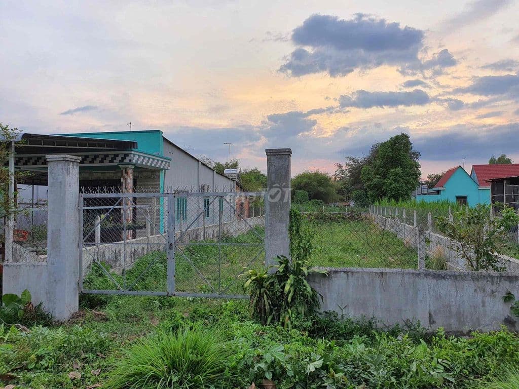 Cần bán 400m2 đất nở hậu đường 686 Củ Chi - Ảnh 3