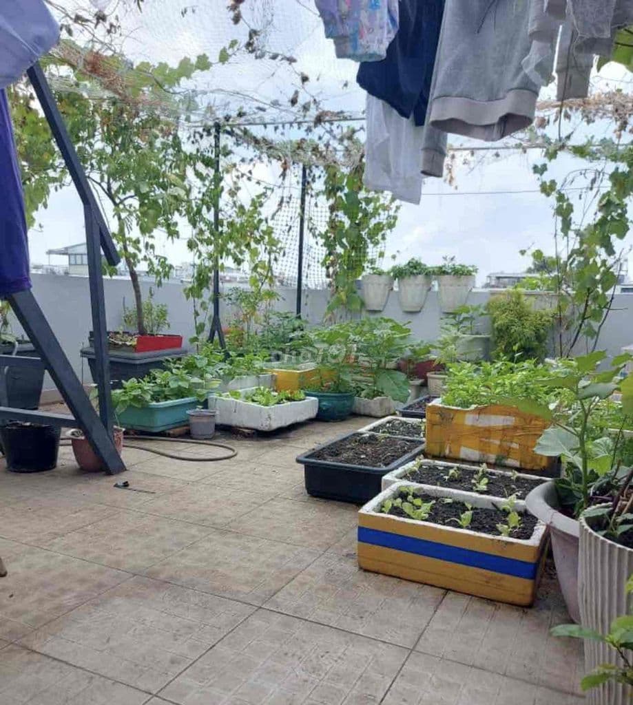 🏡 seri__ PHƯỜNG AN HỘI TÂY - QUẬN GÒ VẤP - Ảnh 3