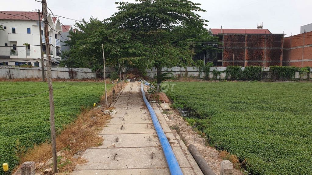 Bán lô đất DT 40x50, hẻm Bà Điểm 4, gần trường Bùi Văn Ngữ- Bà Điểm HM - Ảnh 2