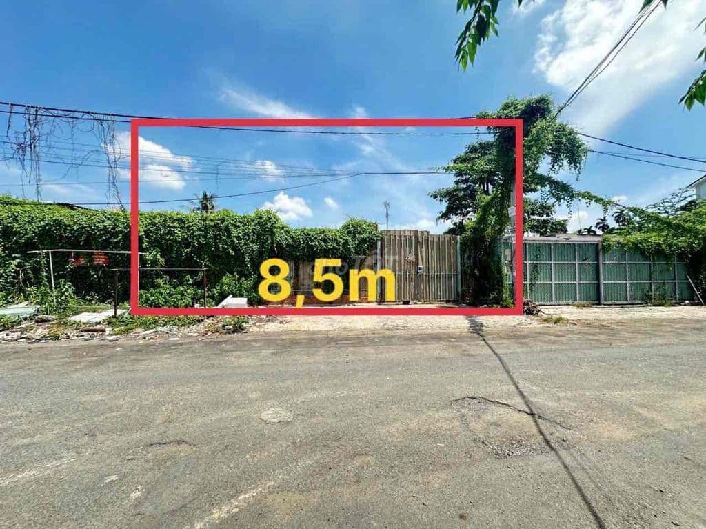 Nền Đất Biệt Thự Đường 23 - Khu Bên Sông Hiệp Bình Chánh - Ảnh 2