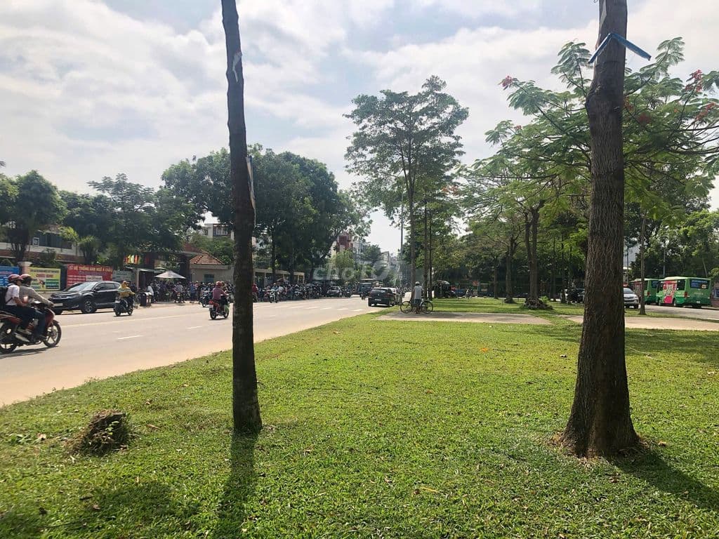 Bán nhanh lô đất, SHR, vay ngân hàng, Tỉnh Lộ 10, quận BT - Ảnh 3