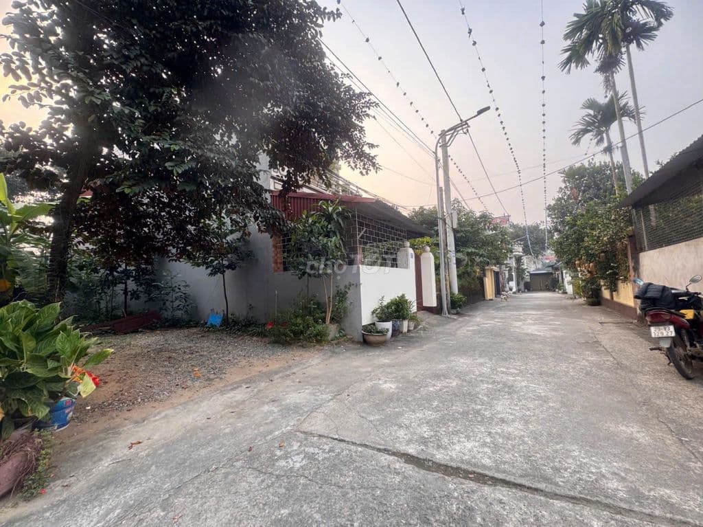 100M2 FULL ĐẤT Ở, GẦN NGÃ 4 LỤC QUÂN - Ảnh 2