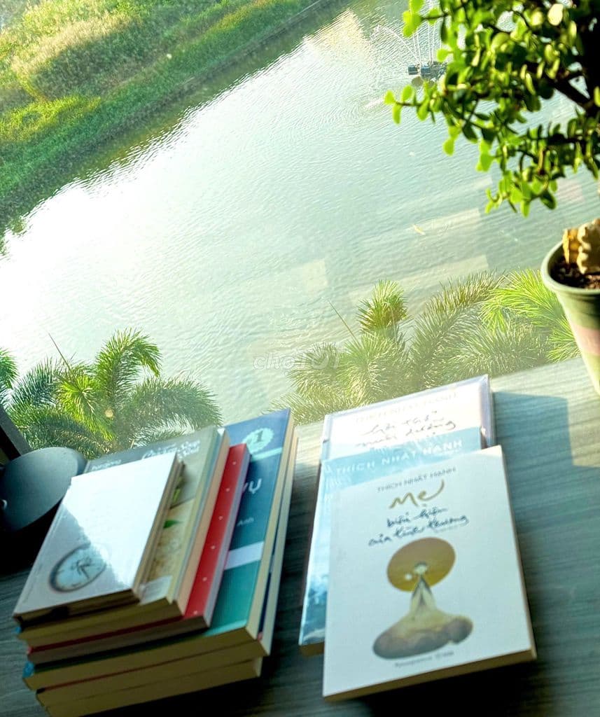 Cần bán gấp căn hộ Flora KIKYO, 55m2 1+1PN Full NT, đã có sổ, view hồ