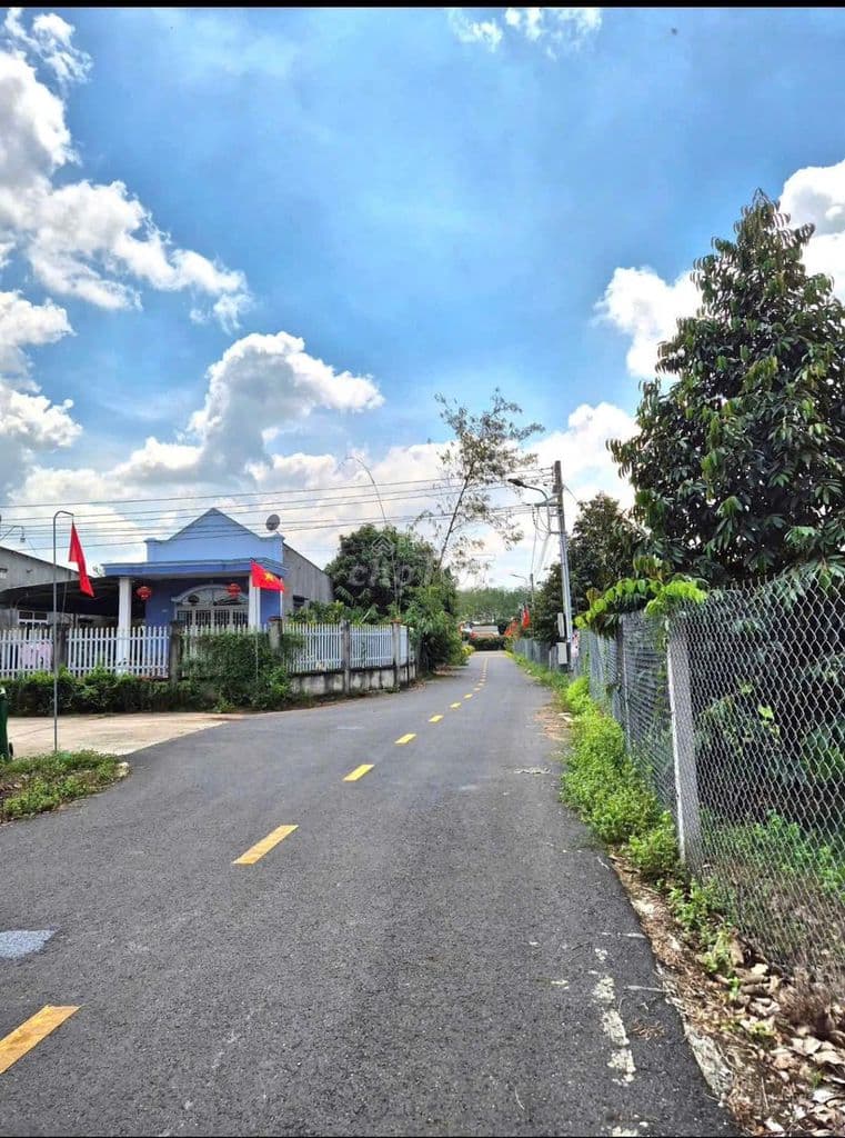 Chủ ngộp bán gấp đất 256m2 , ngay X.Tân An Hội ,Củ Chi Giá 735 triệu - Ảnh 2