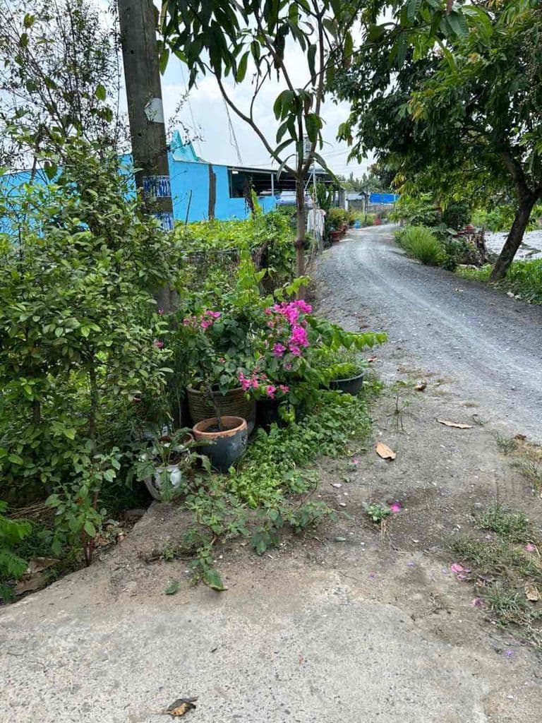 tôi cần bán gấp