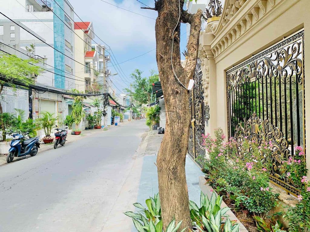 ✅GIẢM 500TR- MTNB LÊ VĨNH HÒA ( DT 4X18M. 3.5 TẤM NHÀ MỚI ĐẸP ) LH - Ảnh 2