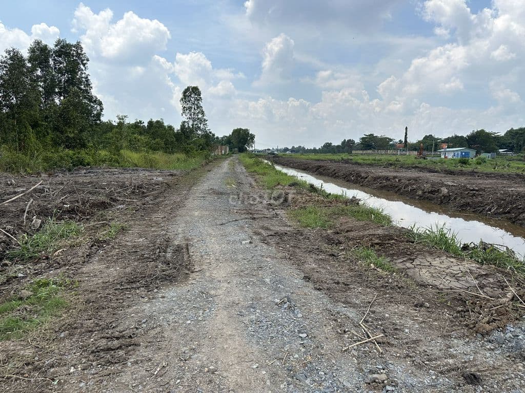 Bán đất MT Trương Thị NHư sát đường Vành Đai 3 Hóc Môn - Ảnh 3