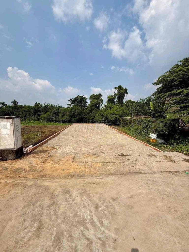 đất nền dự án Reverside Vĩ Văn Bích 5,5x15=80m2 - Ảnh 2