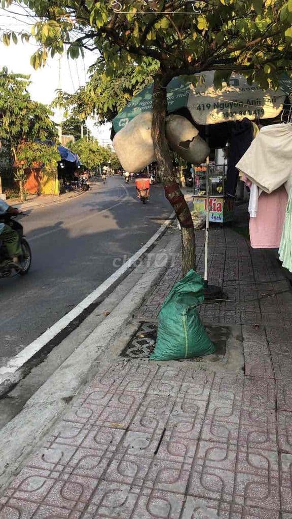 cg bán gấp - Ảnh 2