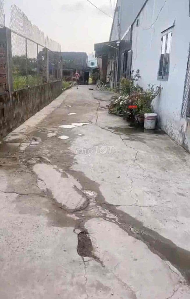 CẮT LỖ 200 TRIỆU - CHỦ CẦN TIỀN BÁN GẤP LÔ ĐẤT VƯỜN LÀM NGHỀ TẠI HÓC M - Ảnh 2