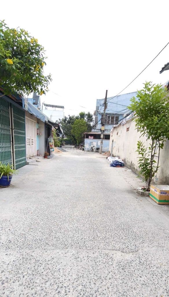 Đất thổ cư mặt tiền Tô Ký 11-Thới Tam Thôn-Hóc Môn.Dt 291m2~10,8ty - Ảnh 3