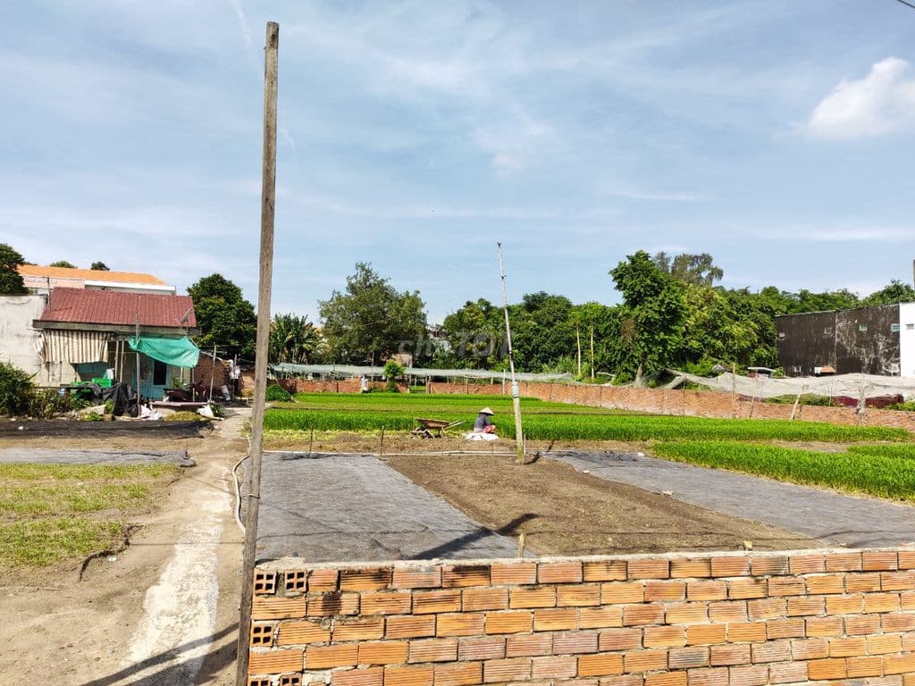 (Chính chủ) bán nhà vườn Hóc Môn 1.300m2 (300m2 thổ cư) -11,5 triệu/m2