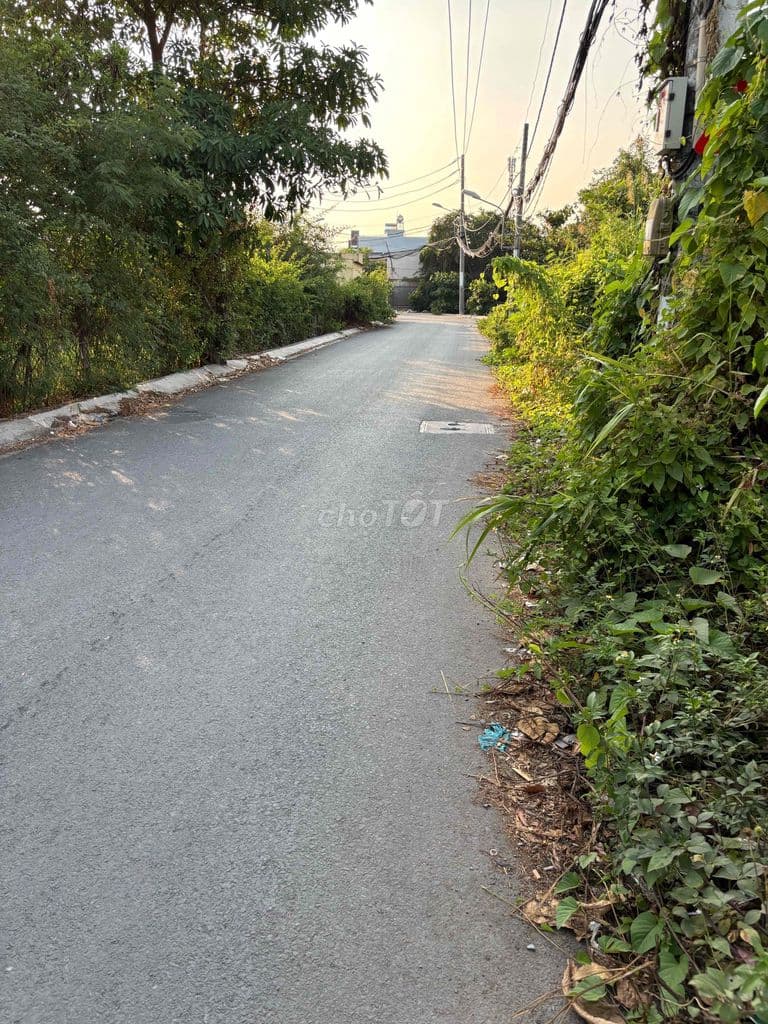 Bán Đất Vườn giá 3tỷ/ hẻm 6met/ Khu đất đẹp - Ảnh 3