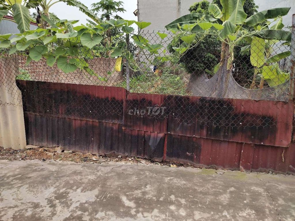 99 m2 Thế Trạch, Sóc Sơn, 3 tỷ - Ảnh 2