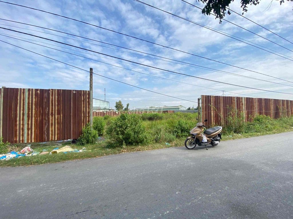 Bán 1000m2 đường container xã Tân kiên xát bên VÕ VĂN KIỆT NỐI DÀI - Ảnh 3