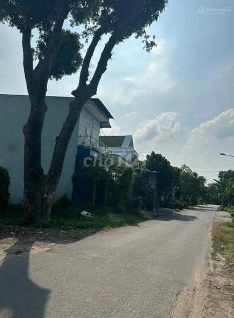 Chủ cần ra gấp lô đất đg Tỉnh Lộ 2 Tân Phú Trung sát bên BV xuyên á - Ảnh 2