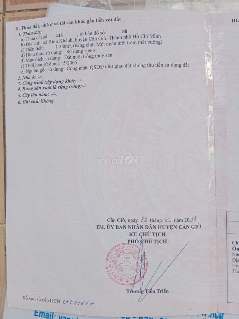 Bán gấp 1100m2 MT Cá Súc, Bình Khánh, Cần Giờ chỉ 4.2tỷ - Ảnh 3