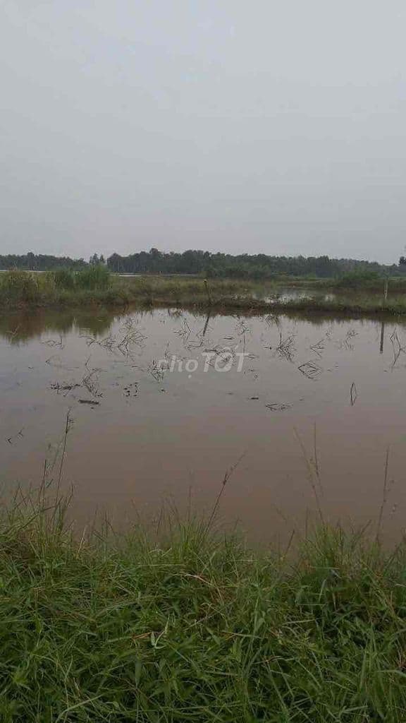 Bán đất nguyên lô giá tốt tại Hóc Môn – Không bán lẻ, cơ hội đầu tư hi - Ảnh 2