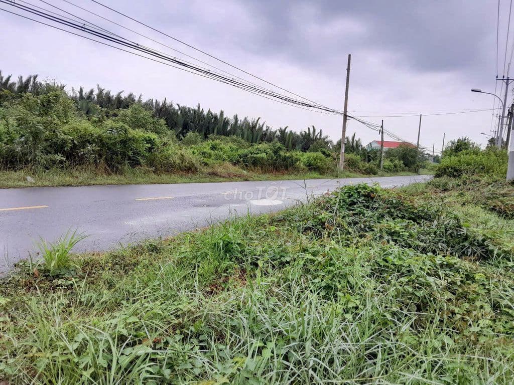 Bán đất thổ cư 1245m2 mặt tiền Lý nhơn xã An thới đông, có nhà 180m2 - Ảnh 2