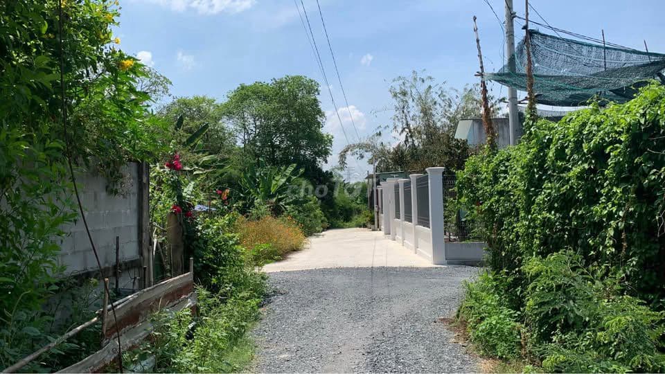 KẸT TIỀN BÁN NHANH LÔ ĐẤT XÃ TÂN AN HỘI, 234m2, SHR, 795TR - Ảnh 3