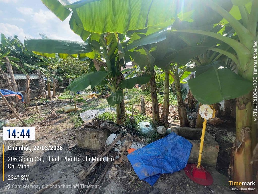 Cần bán 700m2đất 5tr/m2 xã tân phú trung gần bv xuyên á - Ảnh 2