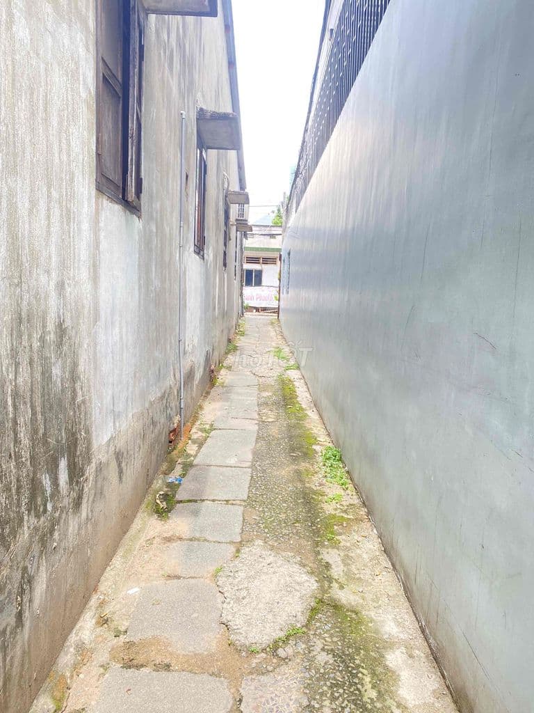 nhà trọ linh Xuân 3 phòng đang thu nhập tốt chỉ 2,5ty - Ảnh 3