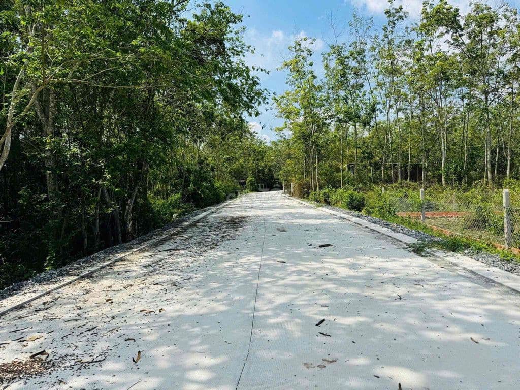 🔥 HÀNG HIẾM CỦ CHI – 1.600m² ĐẤT NHÀ VƯỜN GIÁ CHỈ 3,1 TỶ, CƠ HỘI ĐẦ - Ảnh 3