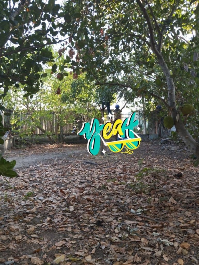 BÁN ĐẤT ĐƯỜNG NHỰA DIỆN TÍCH KHỦNG 1/ TÔ KÝ , XÃ TÂN XUÂN , HÓC MÔN - Ảnh 2