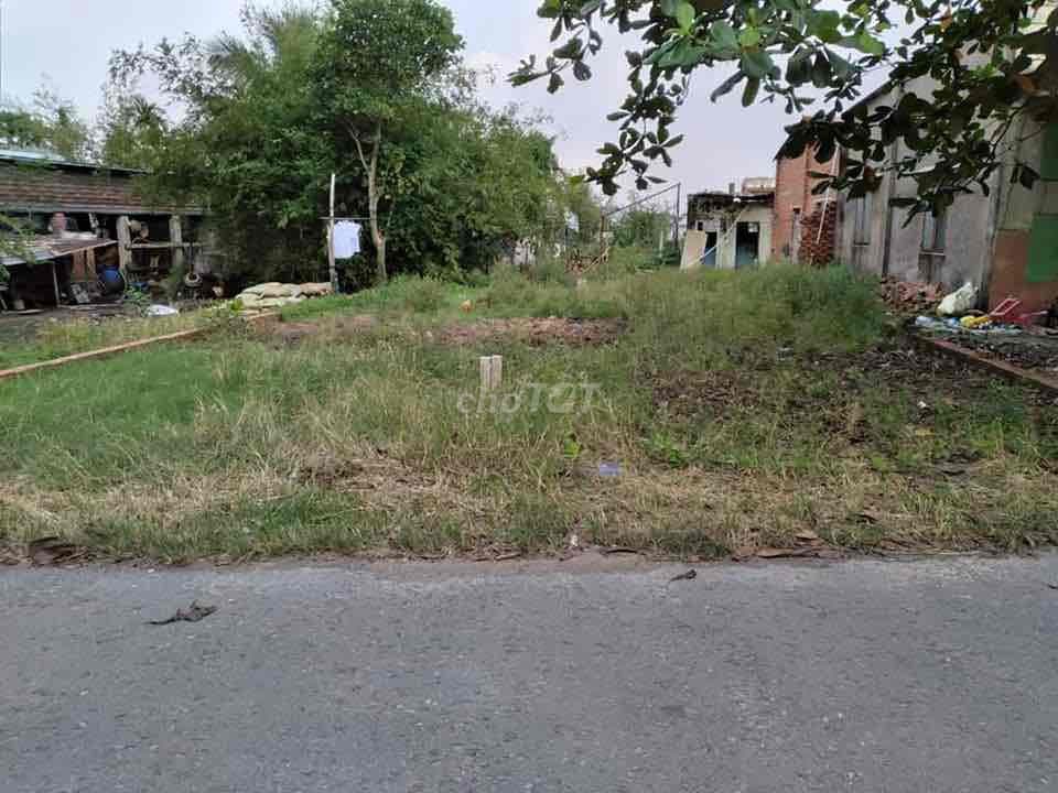 cần bán mảnh vườn 867,5m2 nở hậu - Ảnh 3