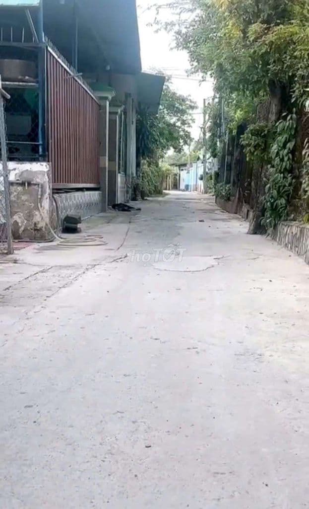 Bán đất xã Tân Hiệp Hóc Môn ngang rộng 16m (173) - Ảnh 3