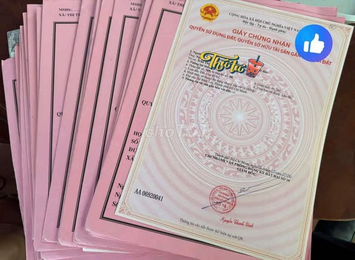 Đất Bình Chánh 90m² (5x18), sổ hồng riêng, xây dựng tự do