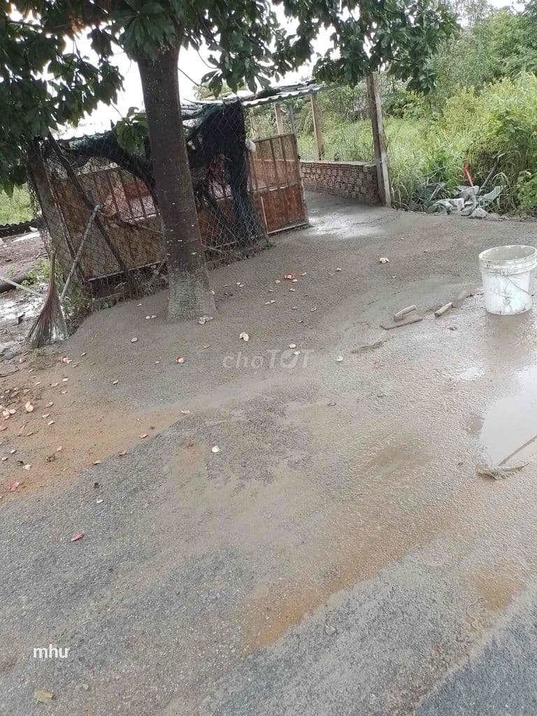 Đất mặt tiền C5/17D Nguyễn Văn Thời.Bình chánh 540 tr