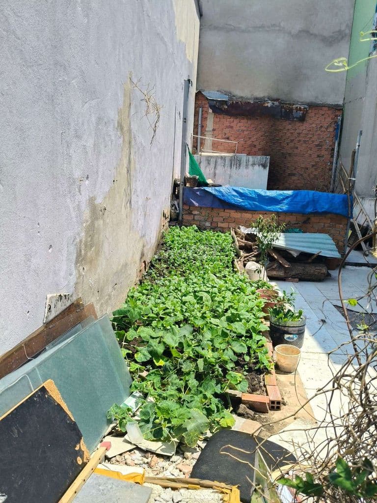 Bán Đất Q12 - ô tô Đậu Cửa - Dt Khủng - Giá Cực Rẻ. DT : 4X12 SHR - Ảnh 3