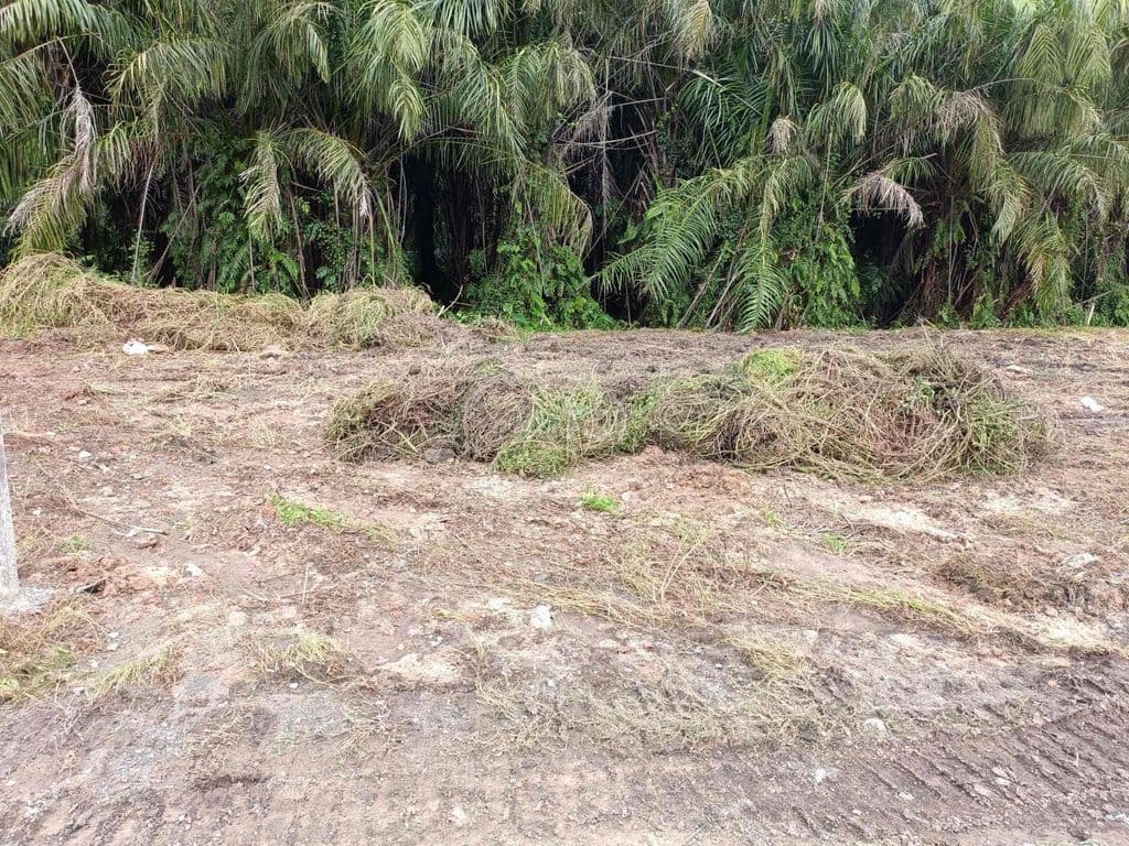 Bán 1410m đất MT Sông Bà Mễn - Ảnh 3