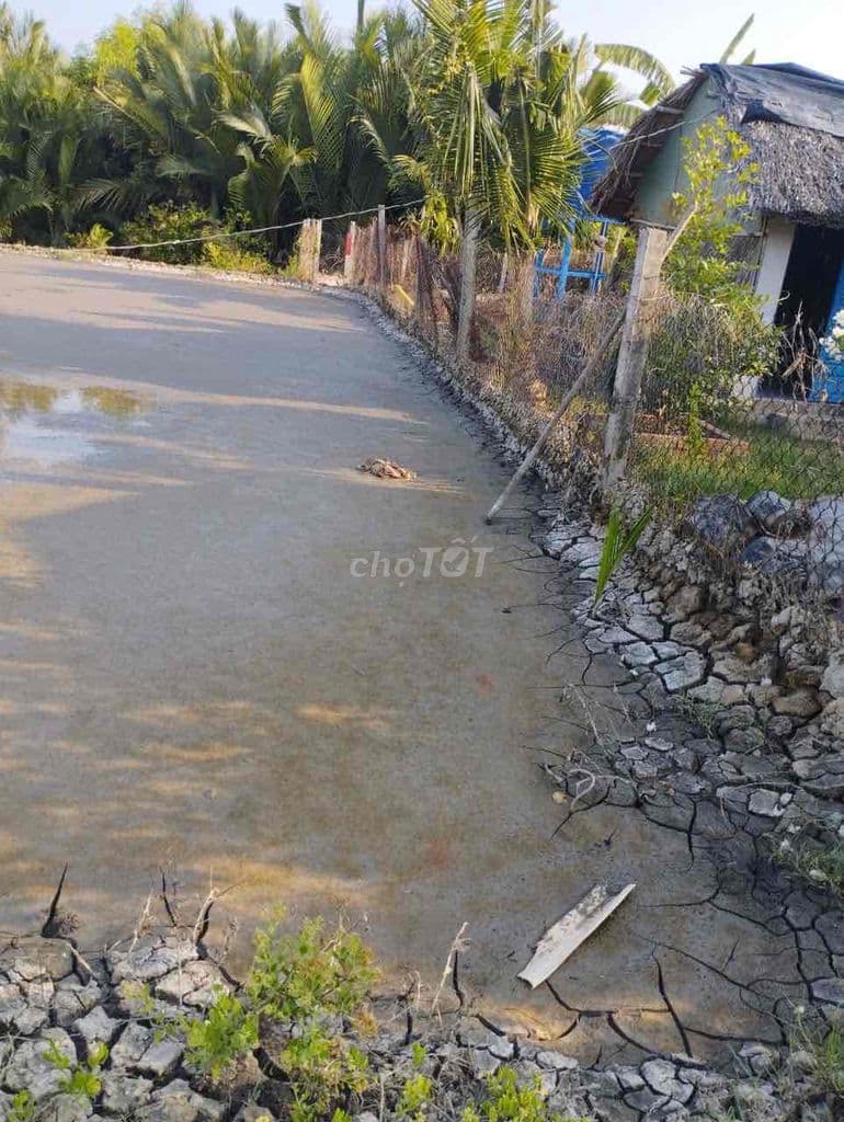 BỎ PHỐ VỀ CẦN GIỜ - SỞ HỮU NGAY 1000M² KHÔNG GIAN SỐNG XANH - Ảnh 2