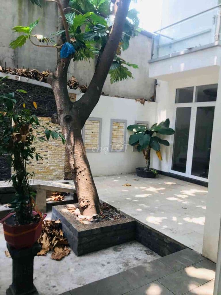 BIỆT THỰ SÂN VƯỜN NGÔ CHÍ QUỐC - PHẠM VĂN ĐỒNG 290m- MT 10M & ĐẲNG CẤP - Ảnh 2