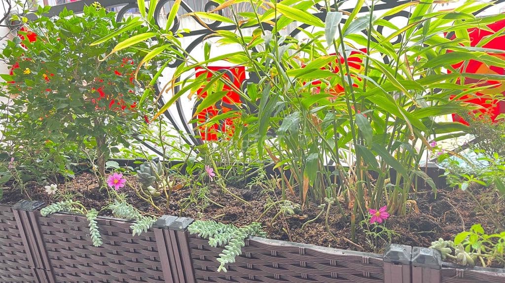 chính chủ bán nhà mới định công thượng - Ảnh 3