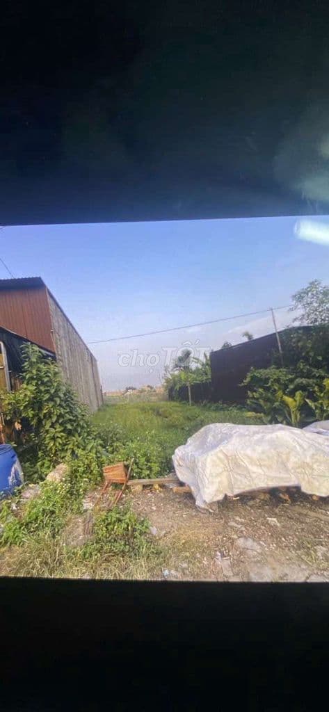 Cần bán - Ảnh 3