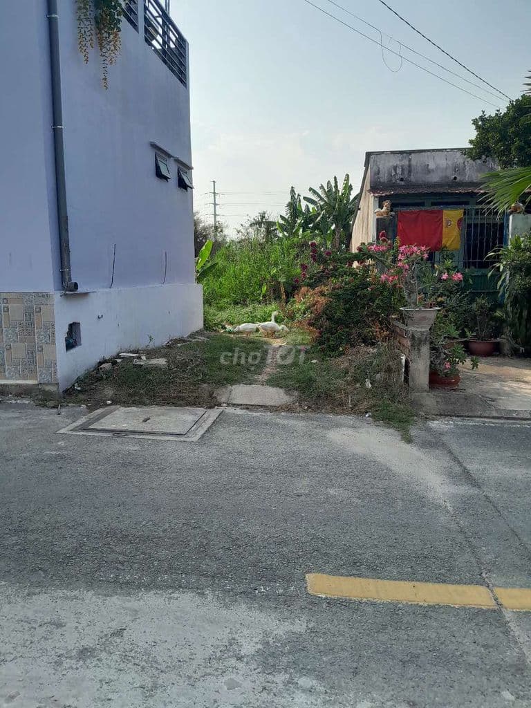 Đất 5 x 21m (104m2) Mặt tiền đường Tân Hiệp 1-3. Gần chợ Tân Hiệp